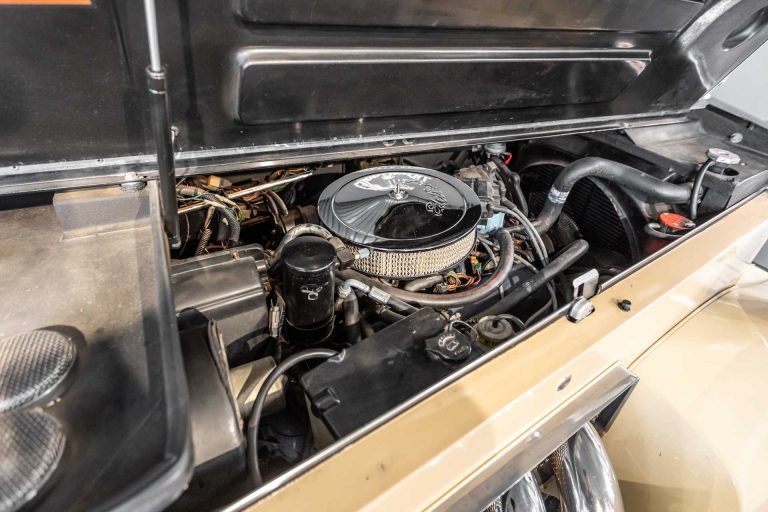 goodtimers_junij_2022-585