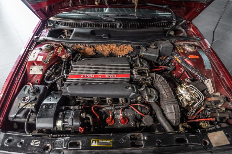goodtimers_junij_2022-1726