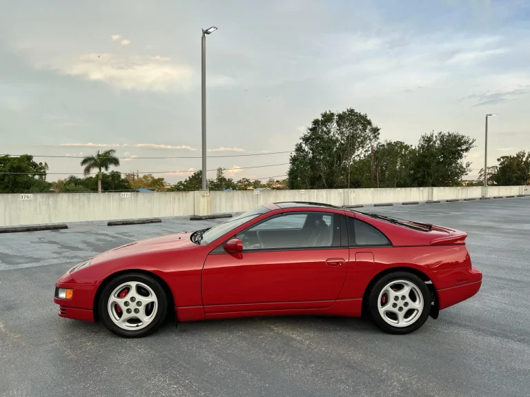IMG_8557-1-scaled