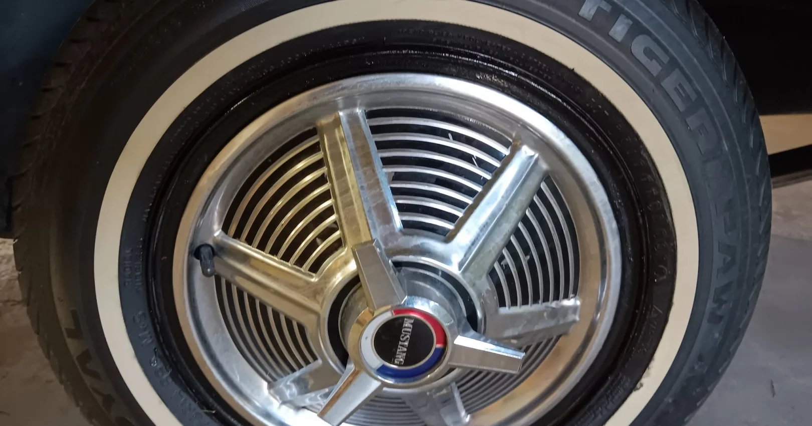 20230530_200139-12132-scaled