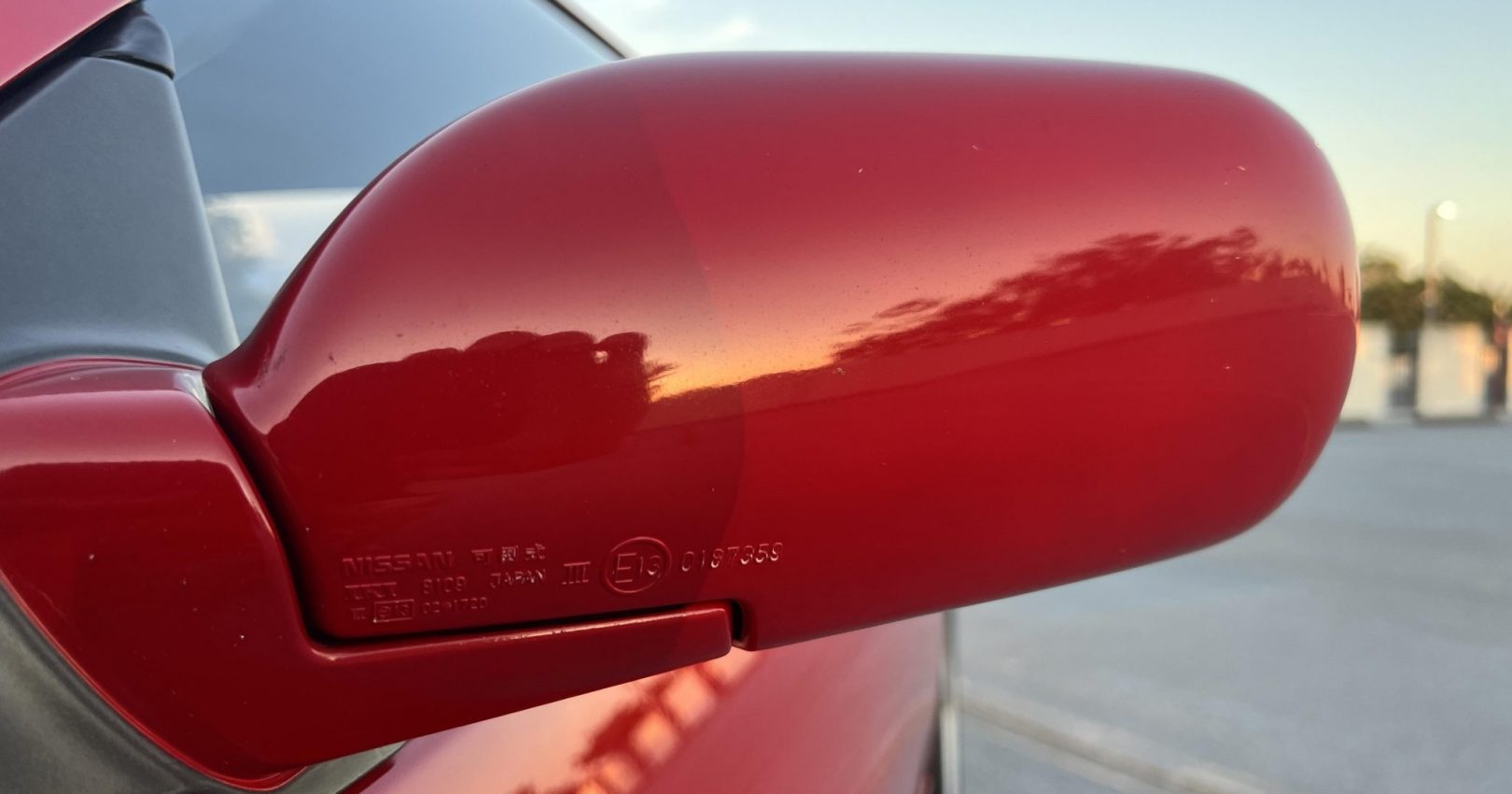 IMG_9358-scaled
