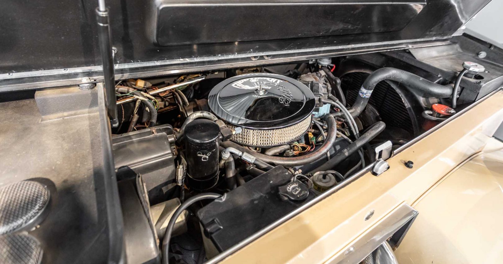 goodtimers_junij_2022-585