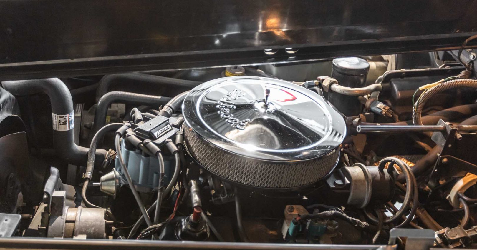 goodtimers_junij_2022-588